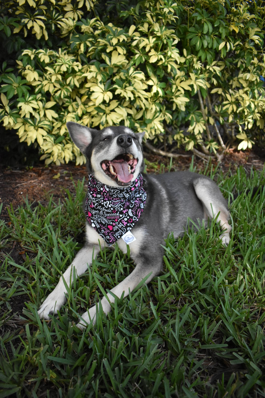 Breast Cancer Awareness Bandana