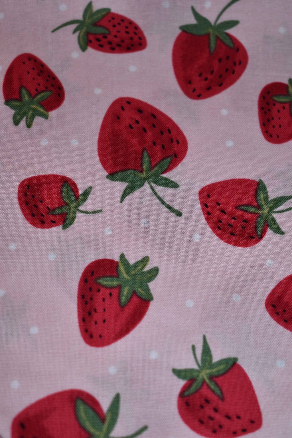 Strawberries Bandana