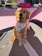 Pastel Scotland Plaid Bandana