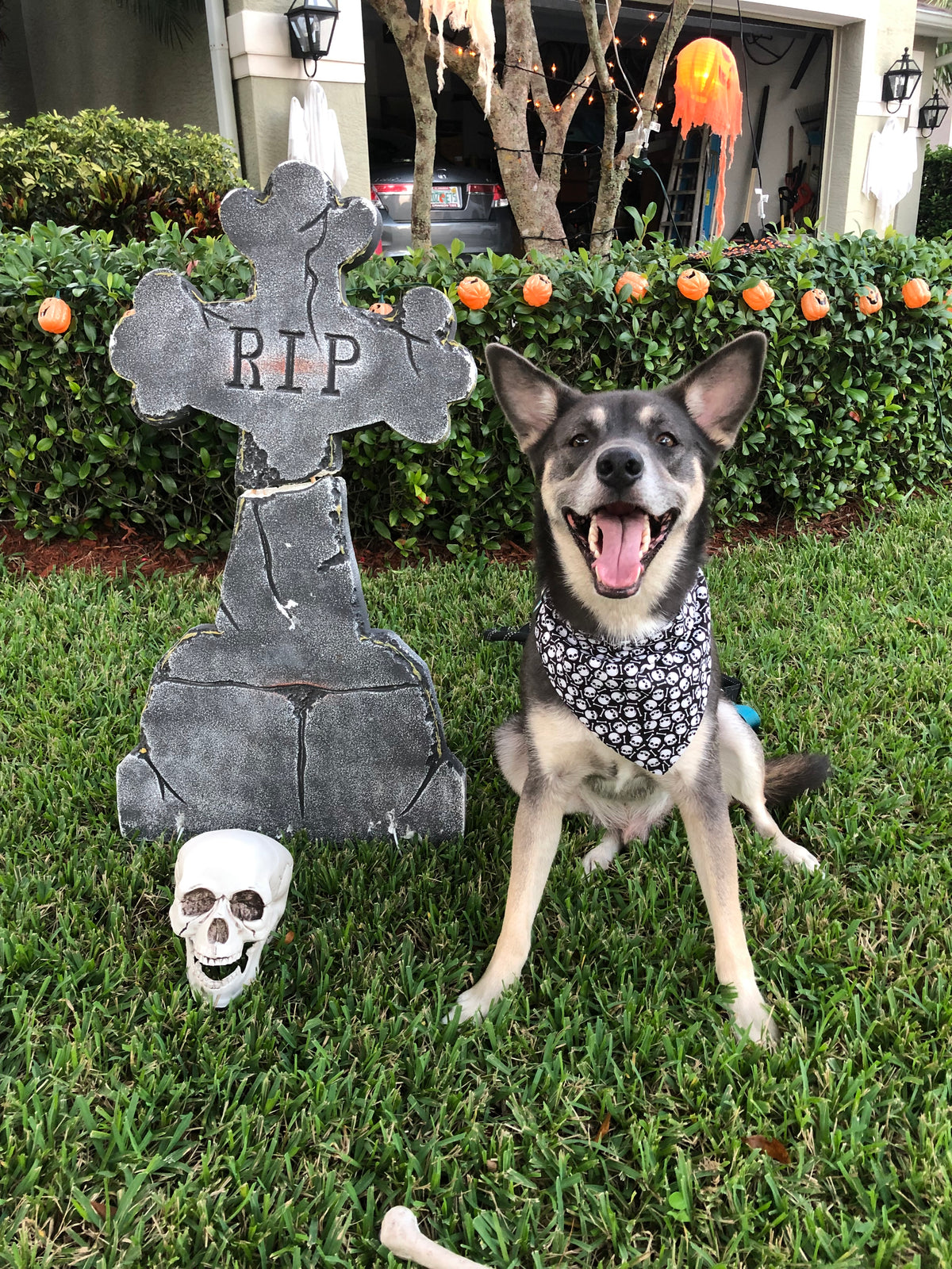 Skull and Bones Bandana