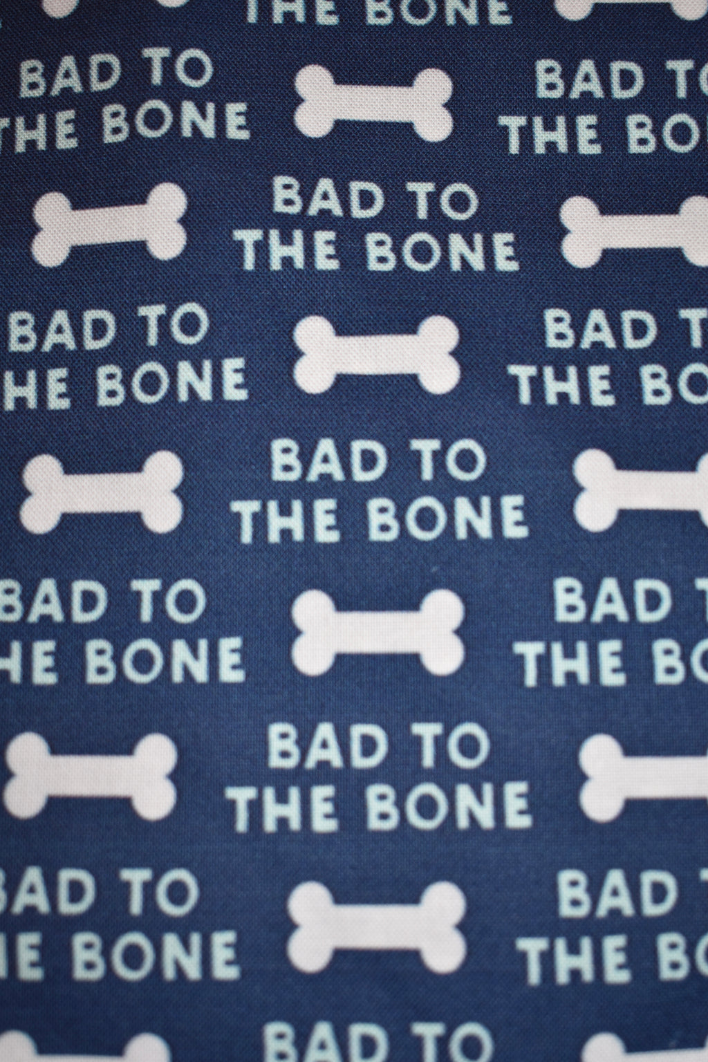 Bad to the Bone Bandana