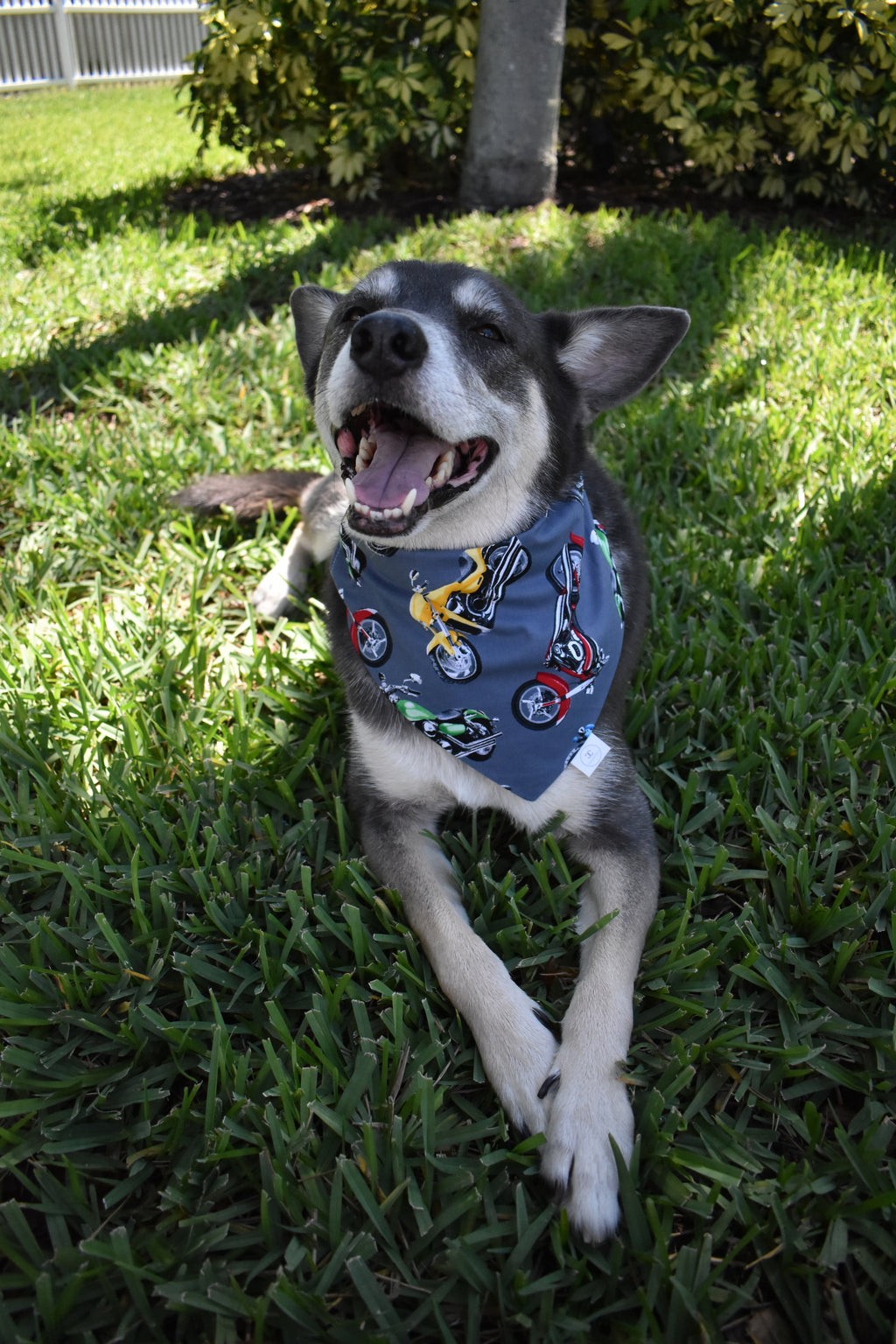 Motorcycles Bandana