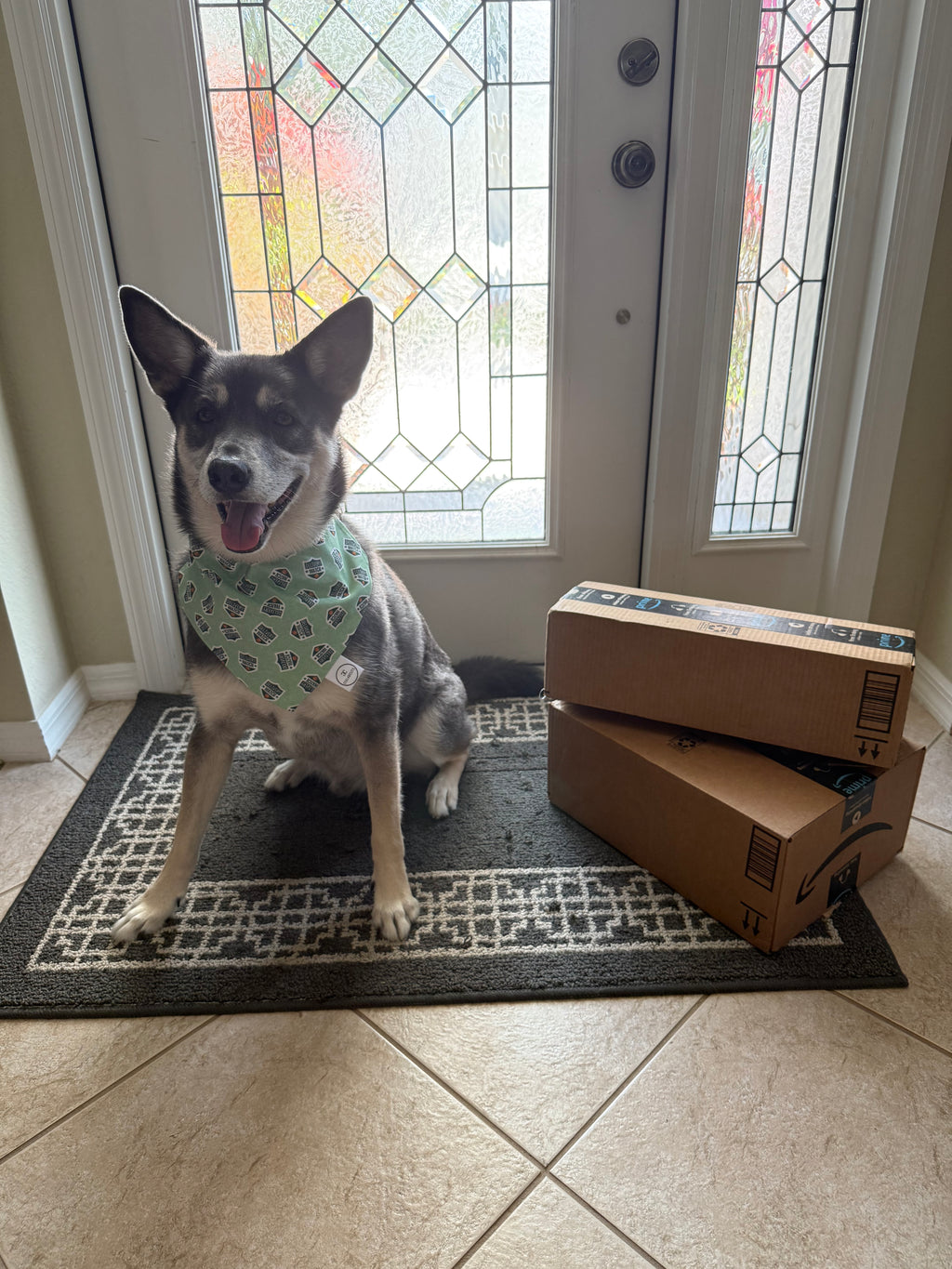 Delivery Watch Bandana