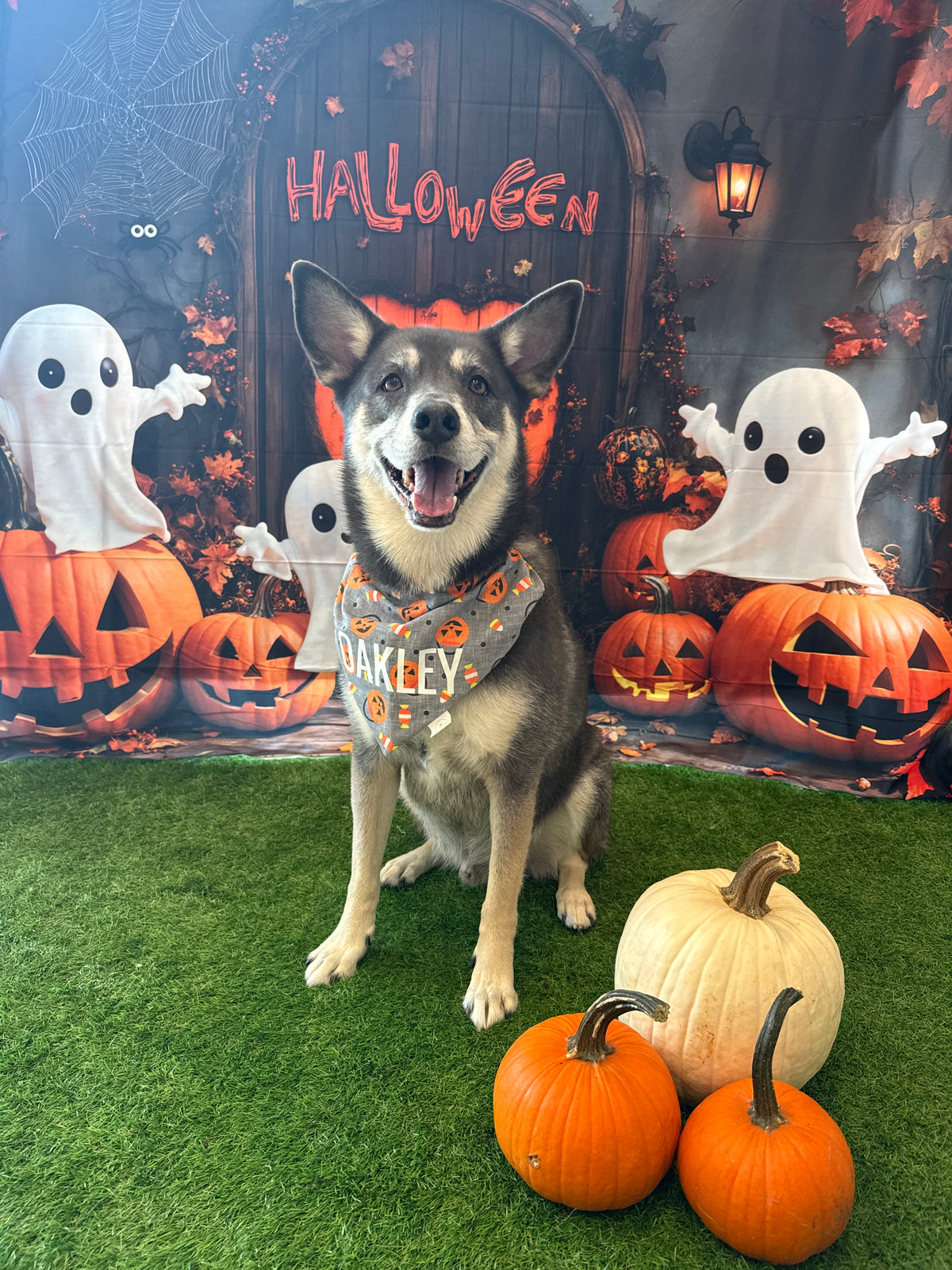 Halloween Candy Baskets Bandana