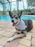 Checkerboard Bandana
