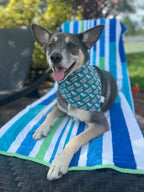 Beach Time Bandana