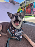 Halloween Dinosaurs Bandana