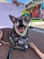 Halloween Dinosaurs Bandana