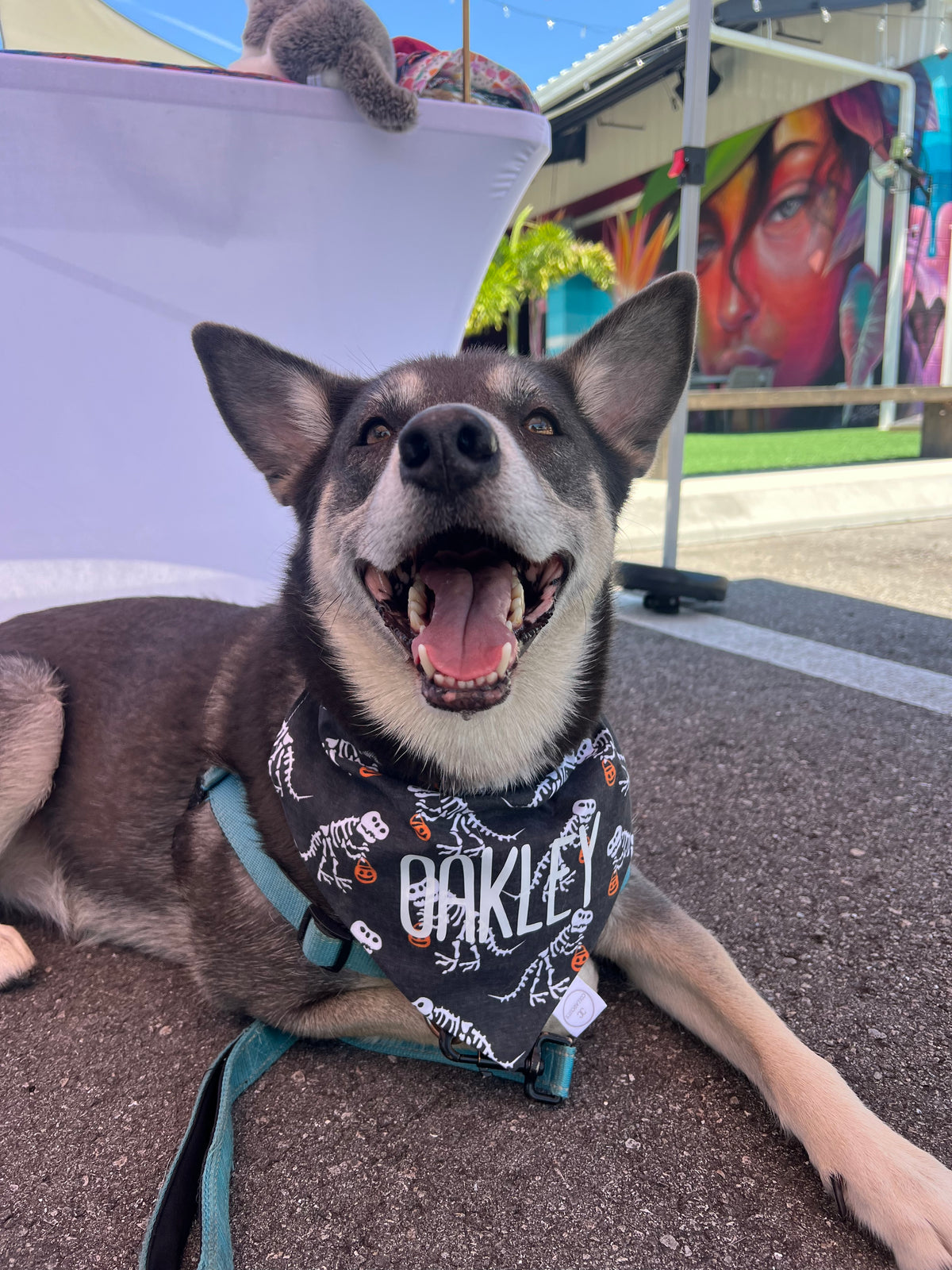 Halloween Dinosaurs Bandana