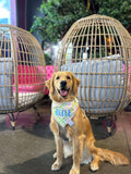 Pastel Scotland Plaid Bandana