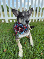 Superhero Bandana