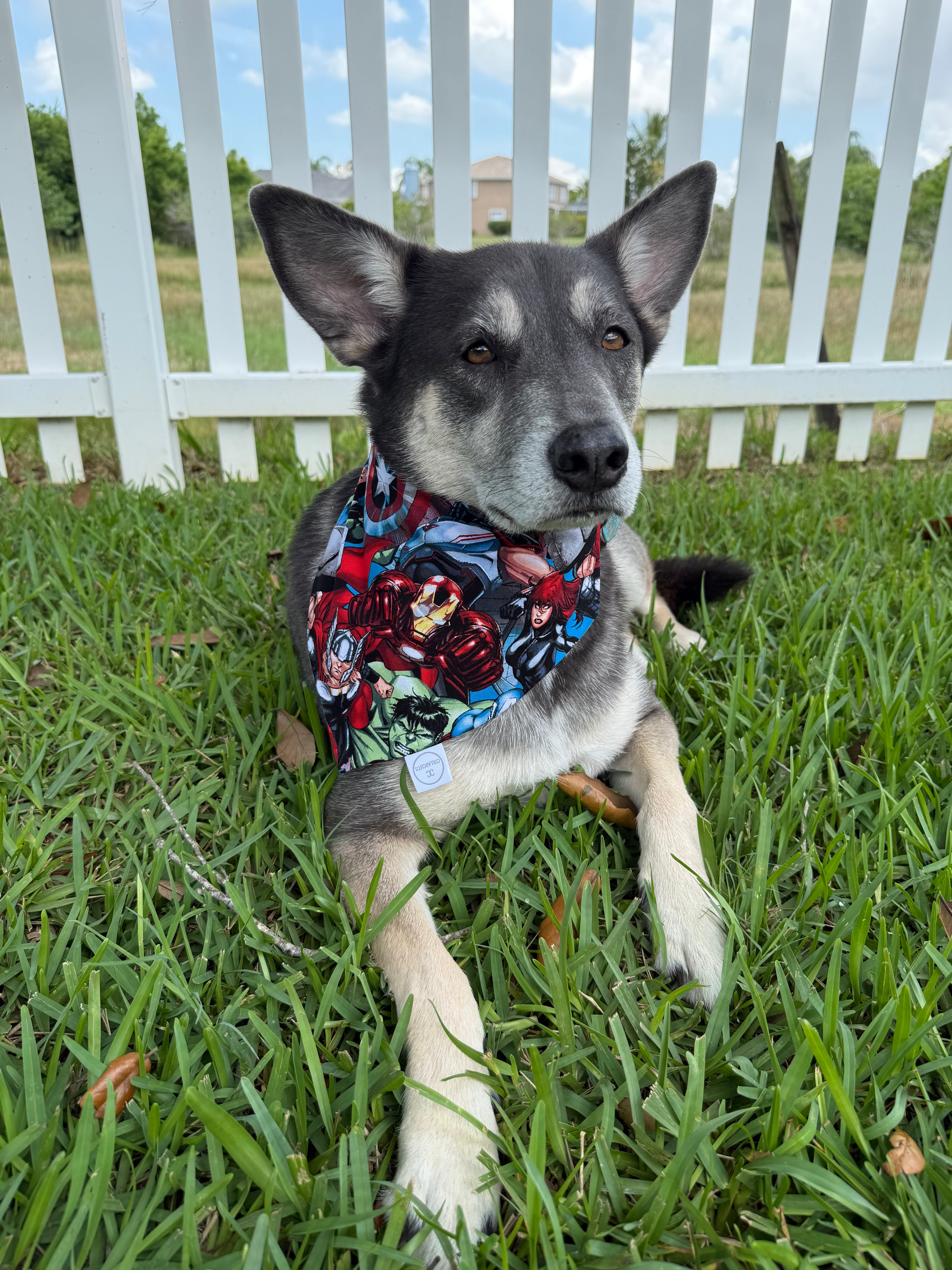 Superhero Bandana
