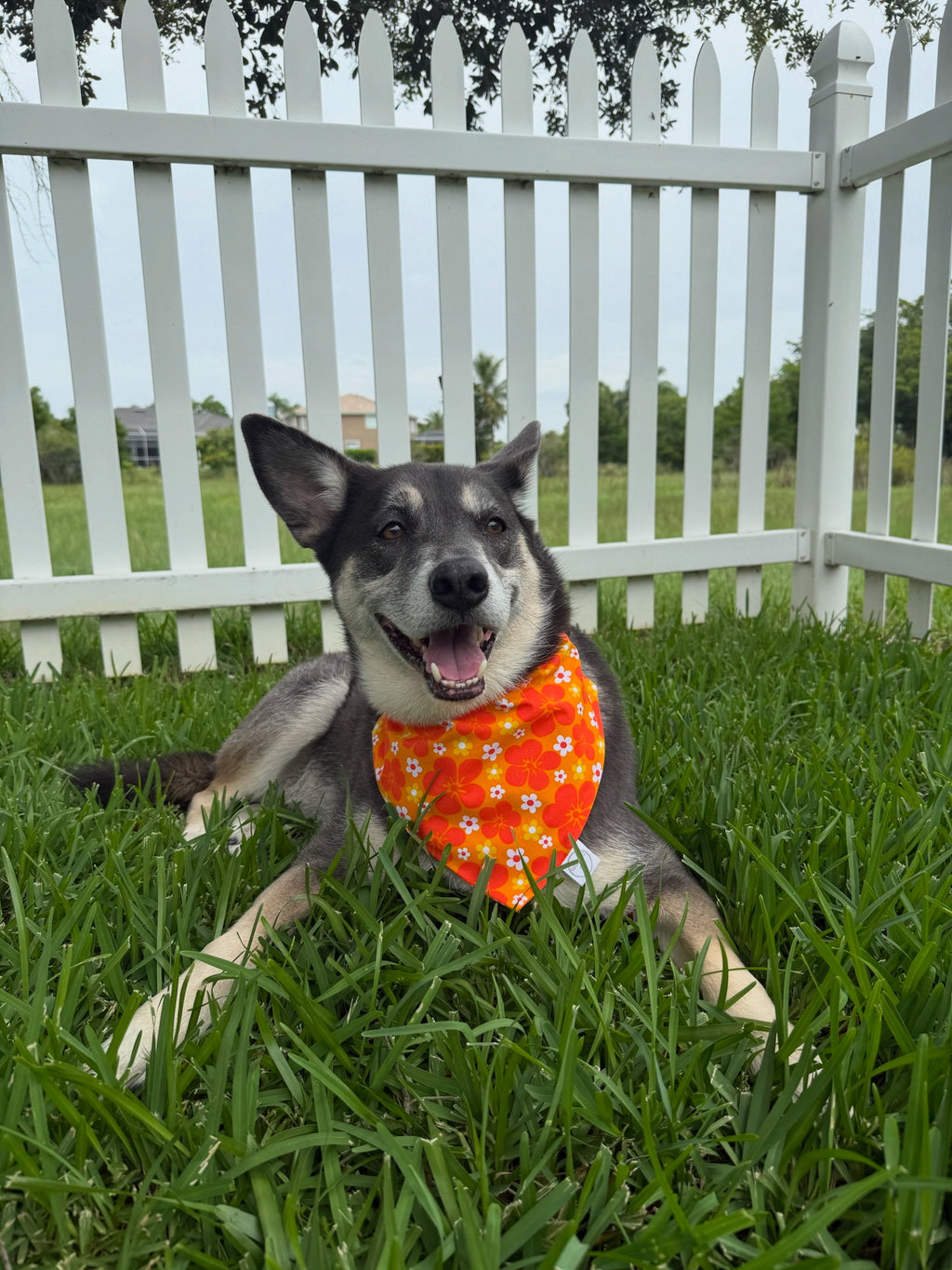 Hawaiian Flowers Bandana