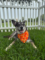 Hawaiian Flowers Bandana