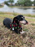 Classic Cherries Bandana