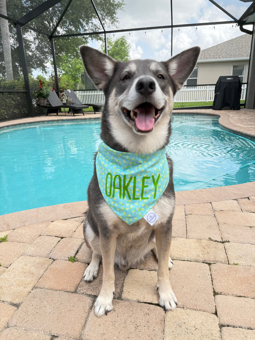 Margaritas Bandana