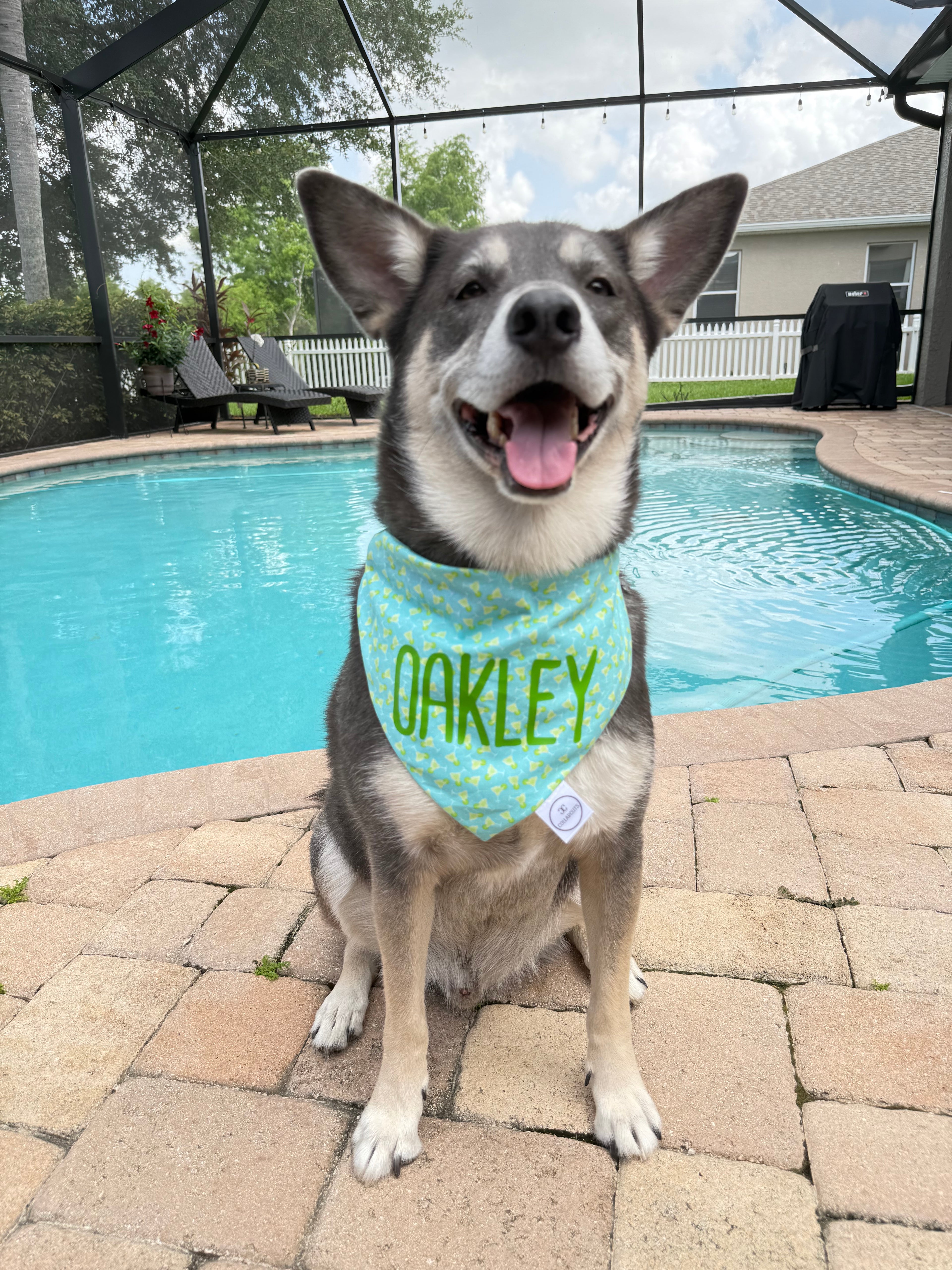 Margaritas Bandana
