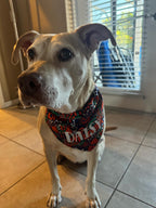 Gators Bandana