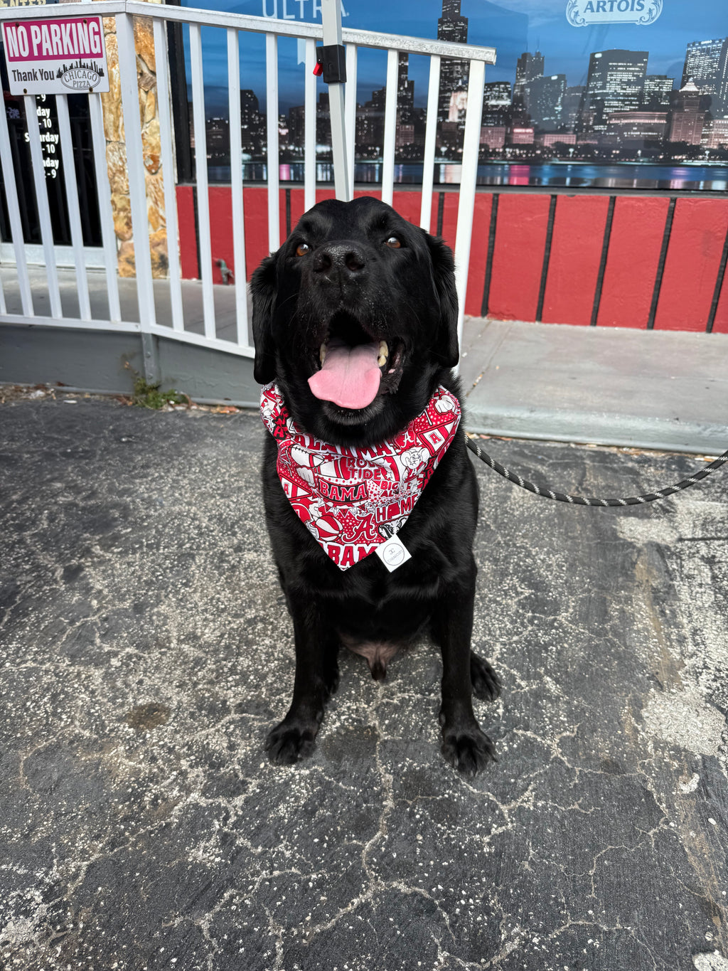 War Eagle Bandana