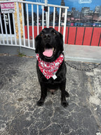 Roll Tide Bandana