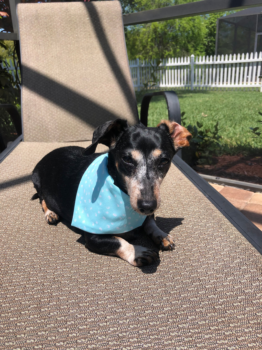 Paint Dots Teal Bandana