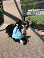 Paint Dots Teal Bandana