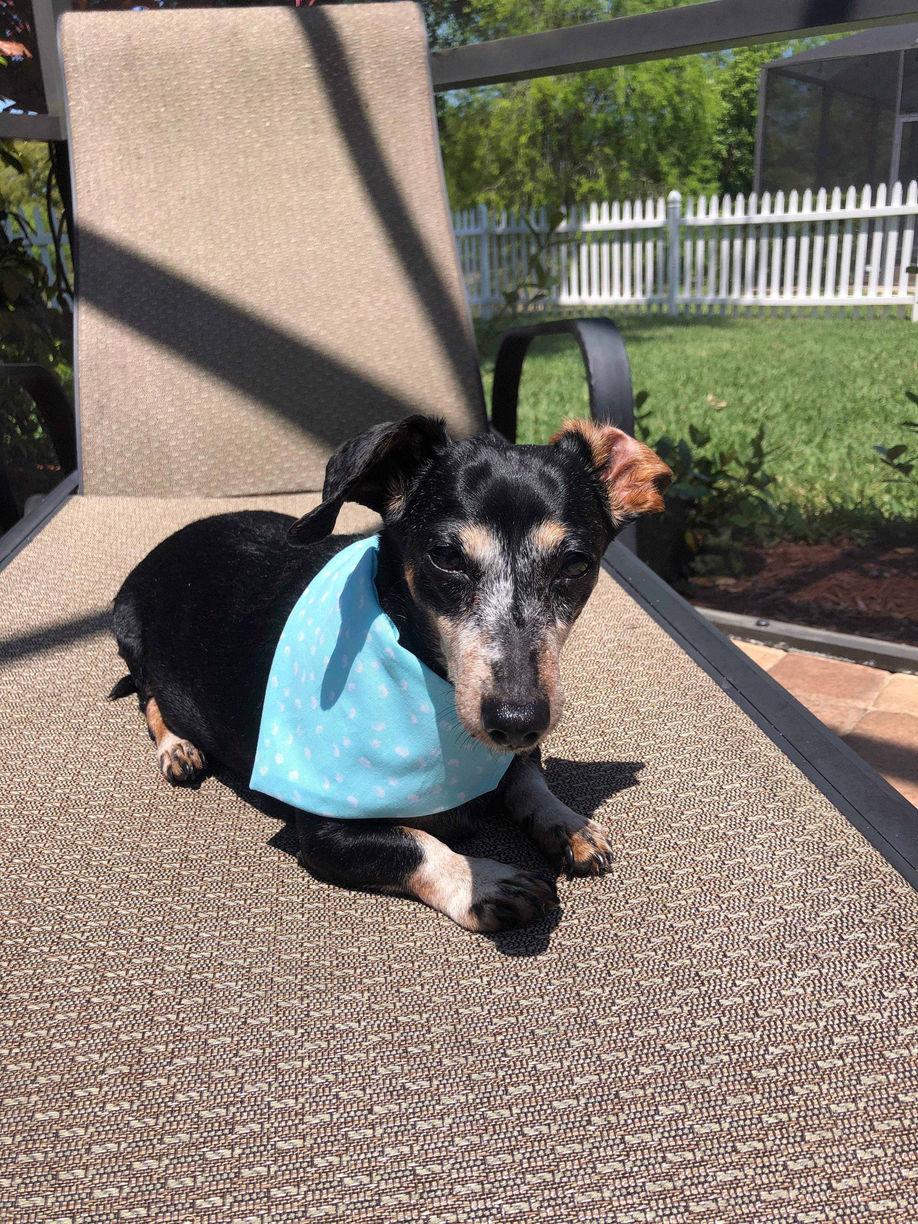 Paint Dots Teal Bandana