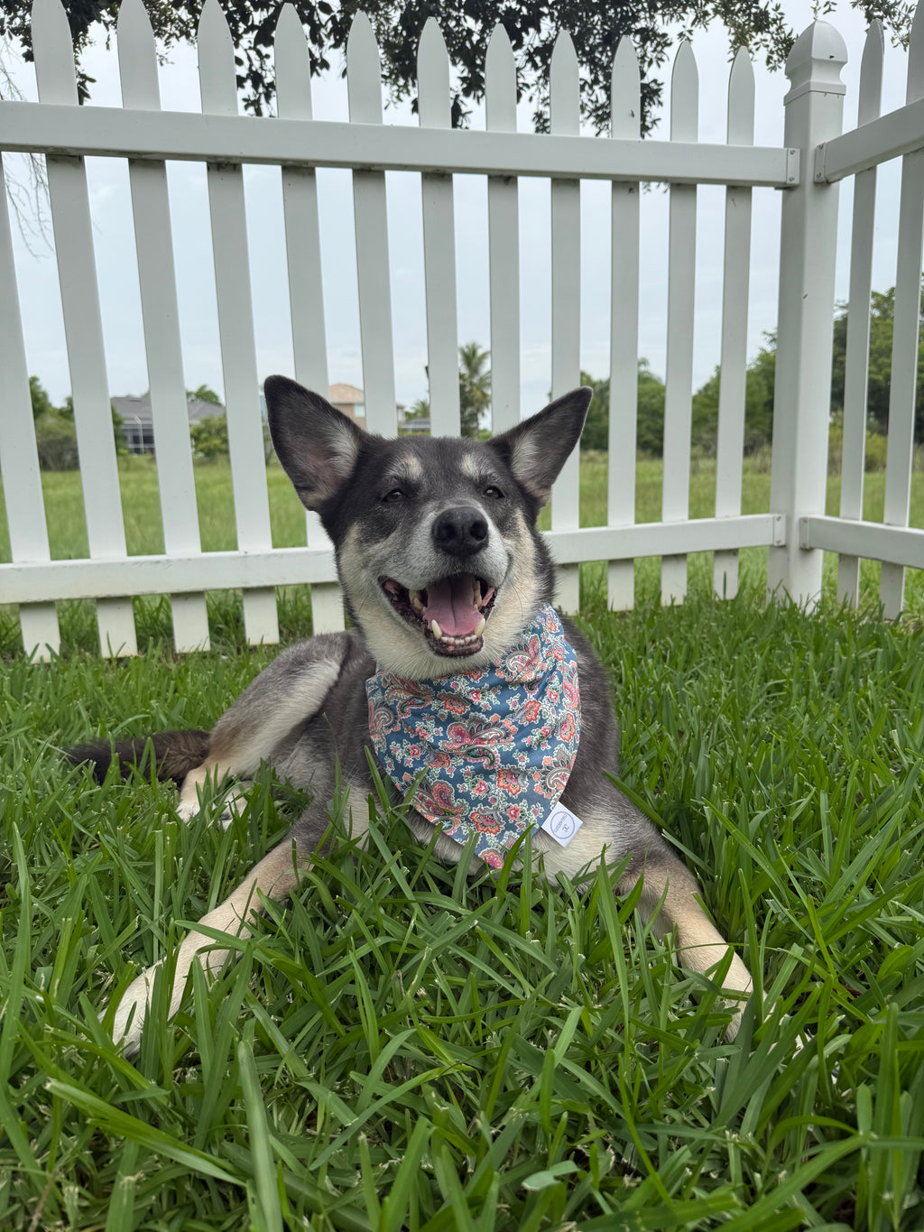 Faded Paisley Bandana