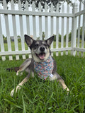 Faded Paisley Bandana