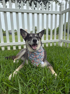 Faded Paisley Bandana