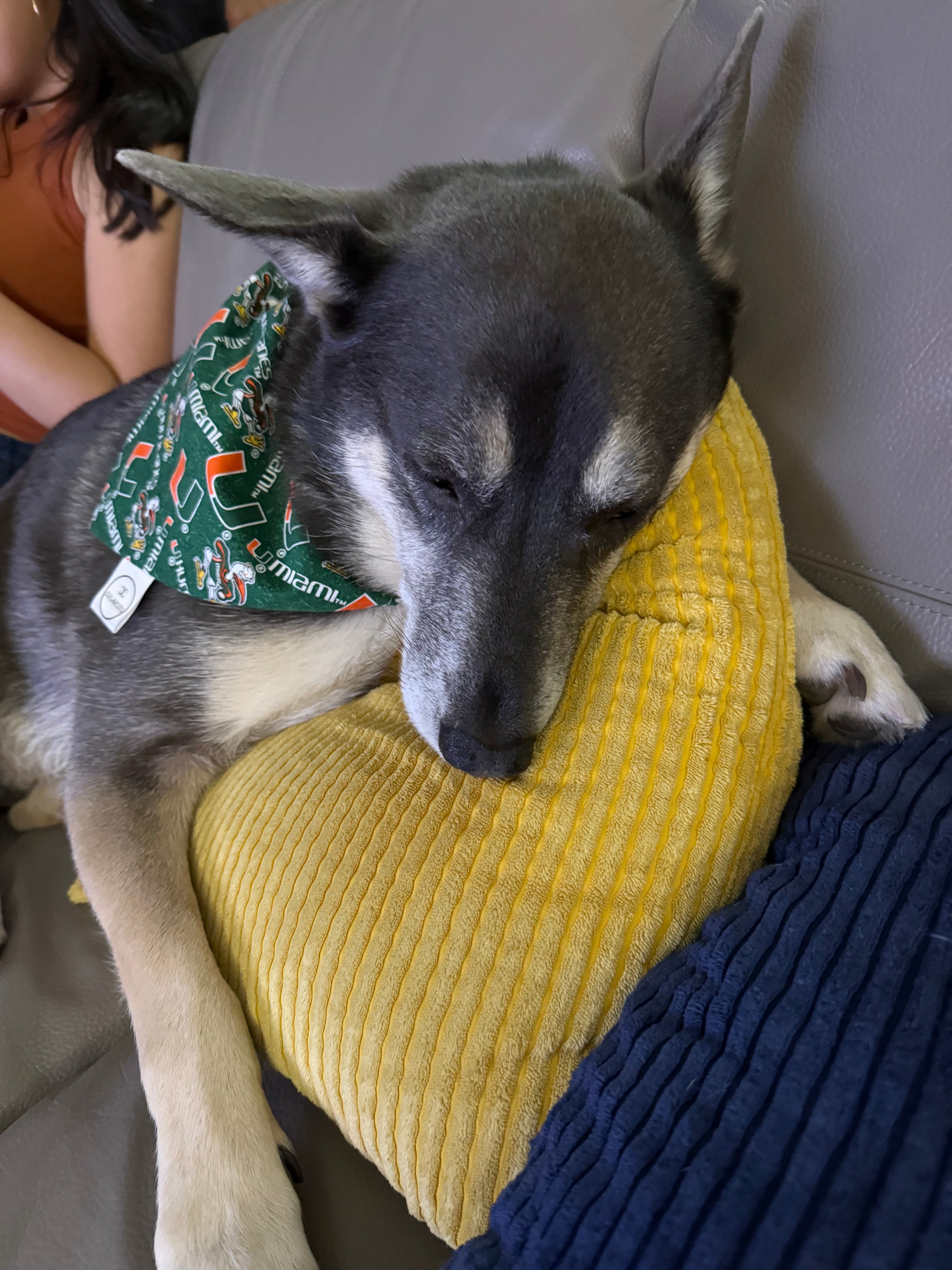 Hurricanes Bandana