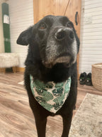 Green Monstera Leaves Bandana