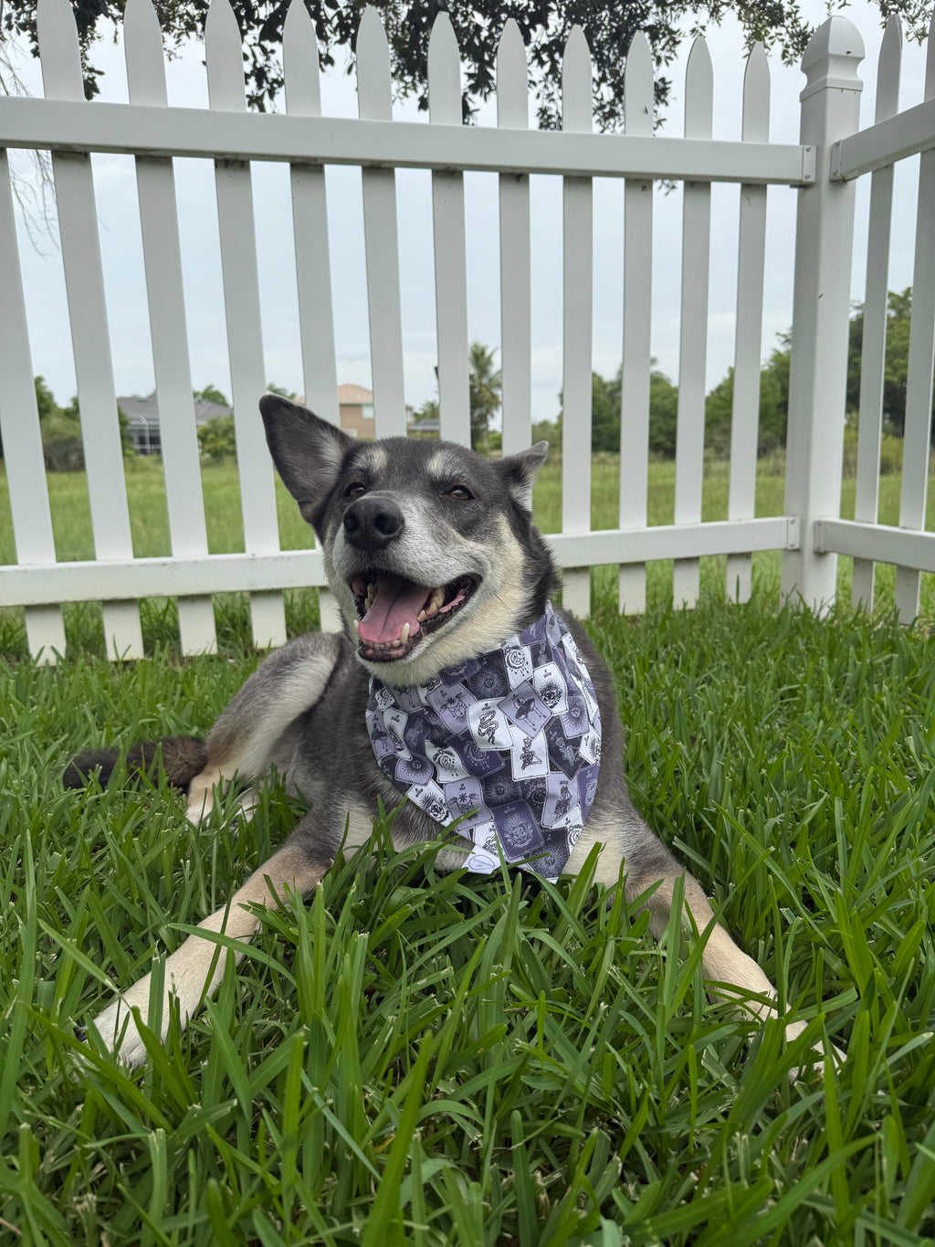 Sparkly Tarot Card Bandana