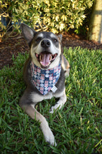 Baseball Blues Bandana