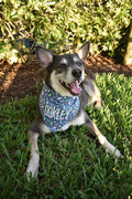 Drinking Buddy Bandana