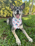 Patriotic Rainbows Bandana