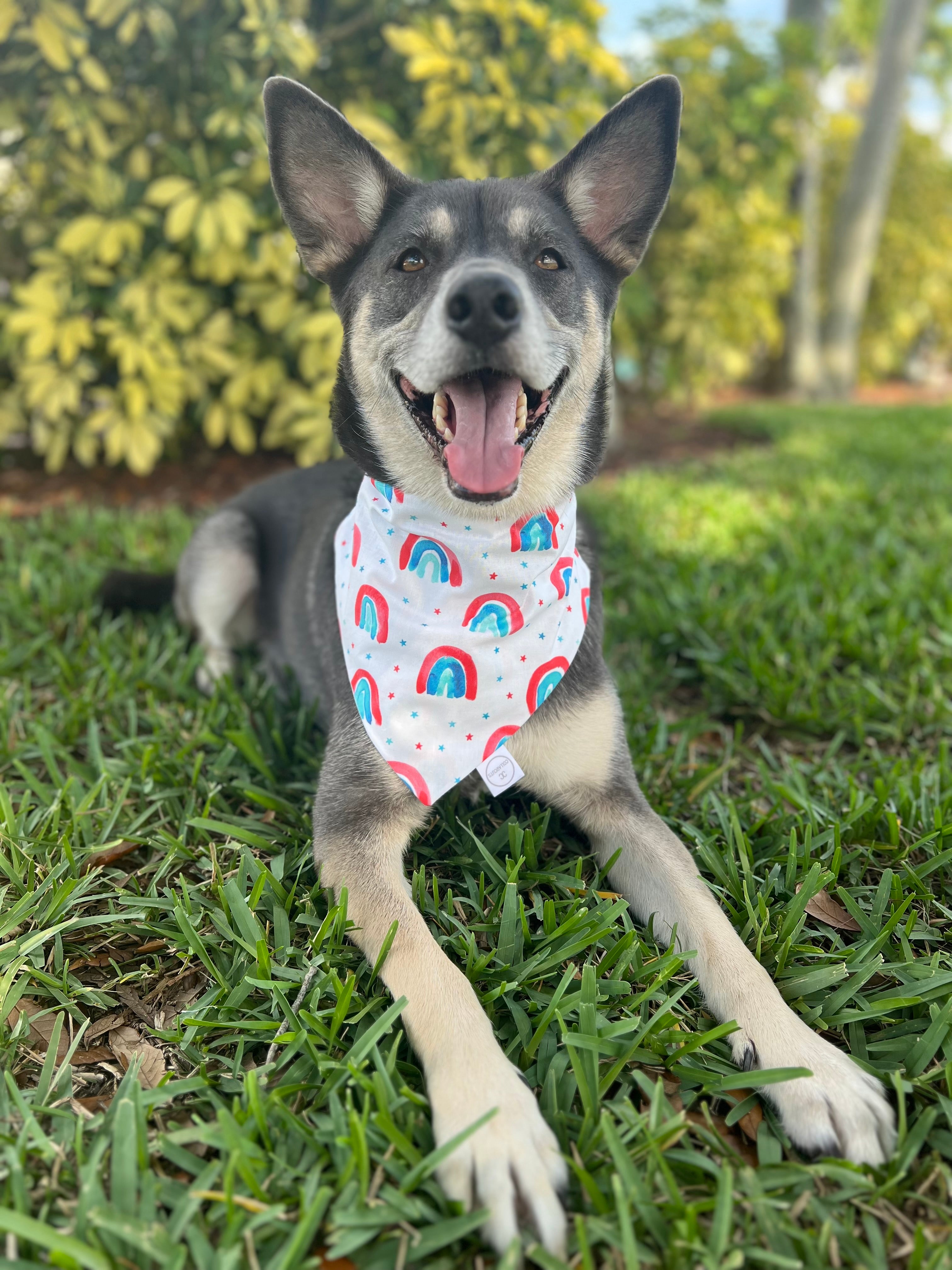 Patriotic Rainbows Bandana
