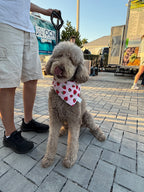 Strawberries Bandana