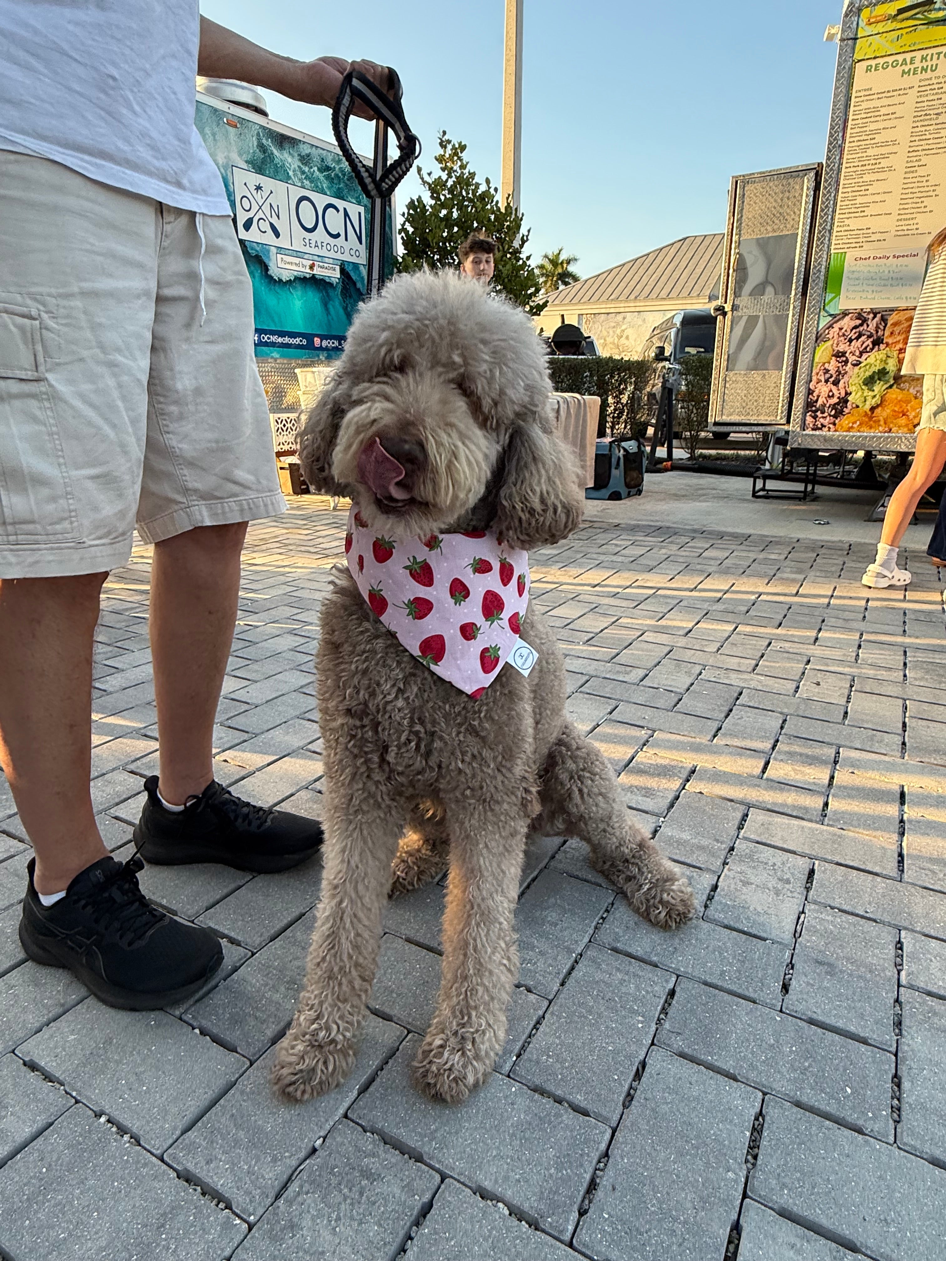 Strawberries Bandana