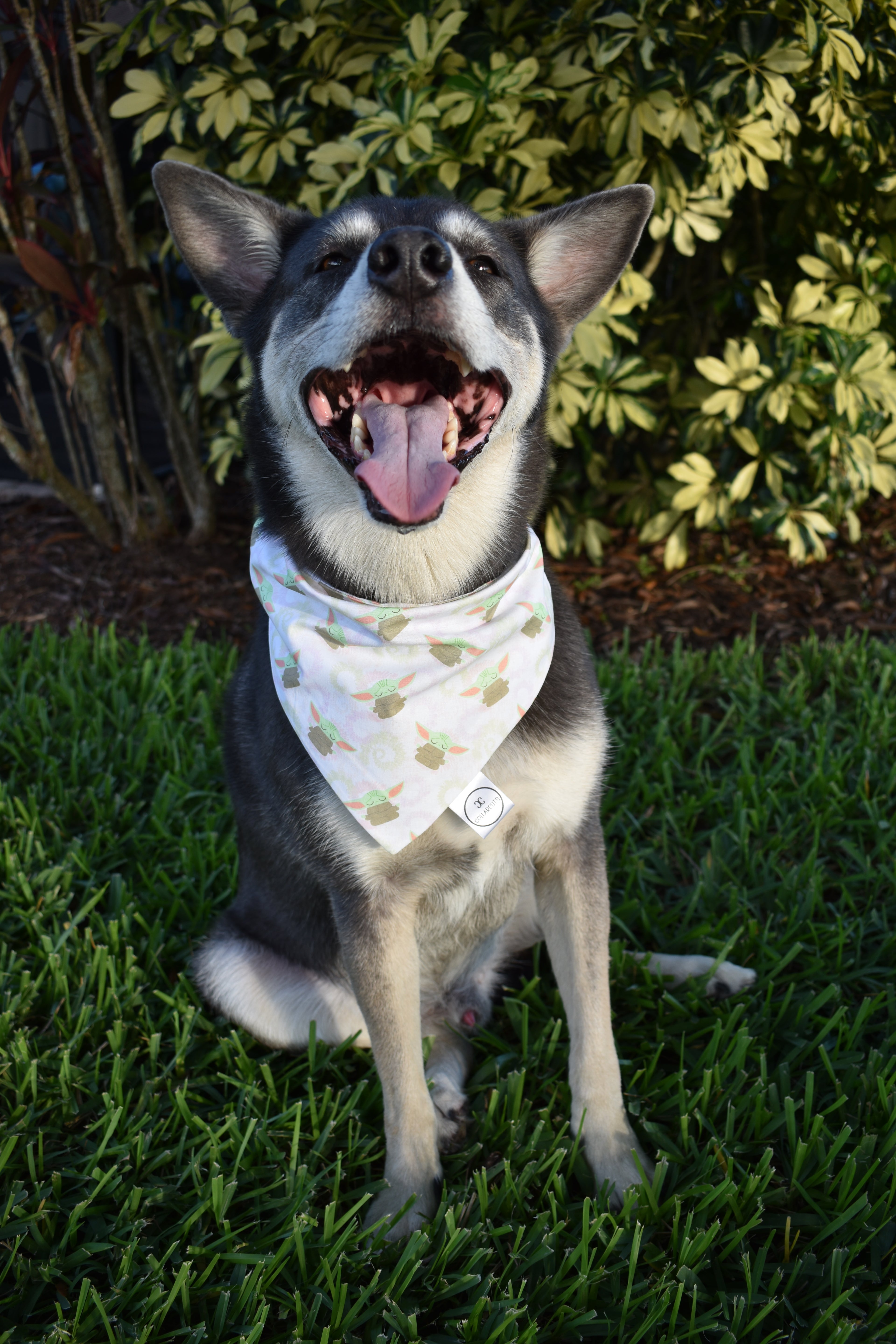 The Child Tie Dye Bandana