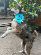 Custom Design Bandana