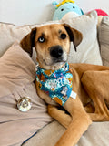 Magical Dogs Bandana