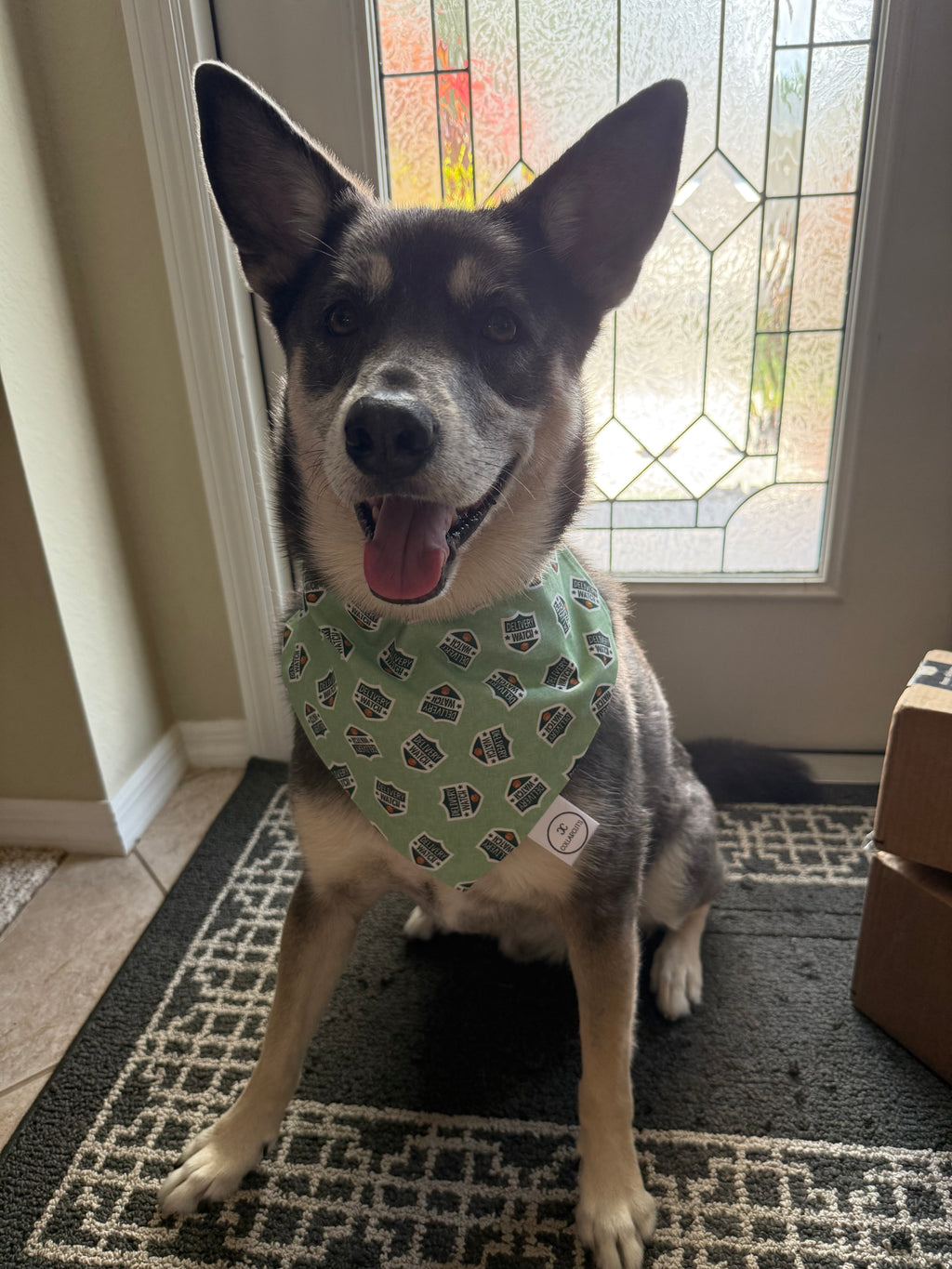Delivery Watch Bandana