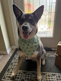 Delivery Watch Bandana