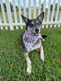 Dog Toys Bandana