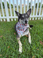 Dog Toys Bandana