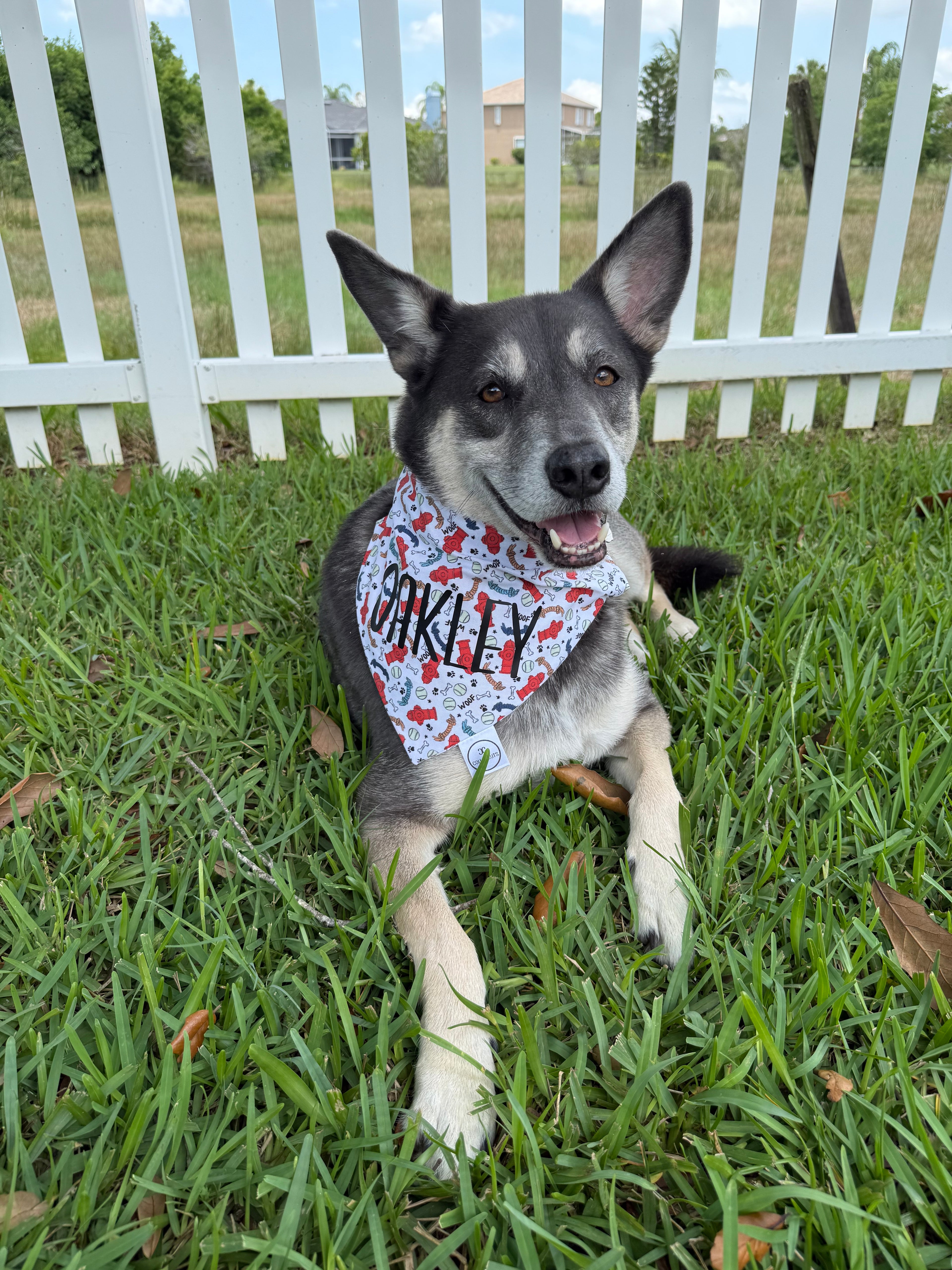 Dog Toys Bandana