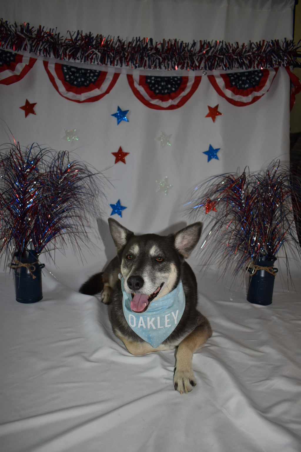 Mini Blue Stars Bandana