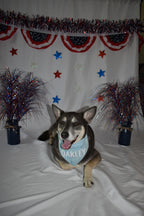 Mini Blue Stars Bandana