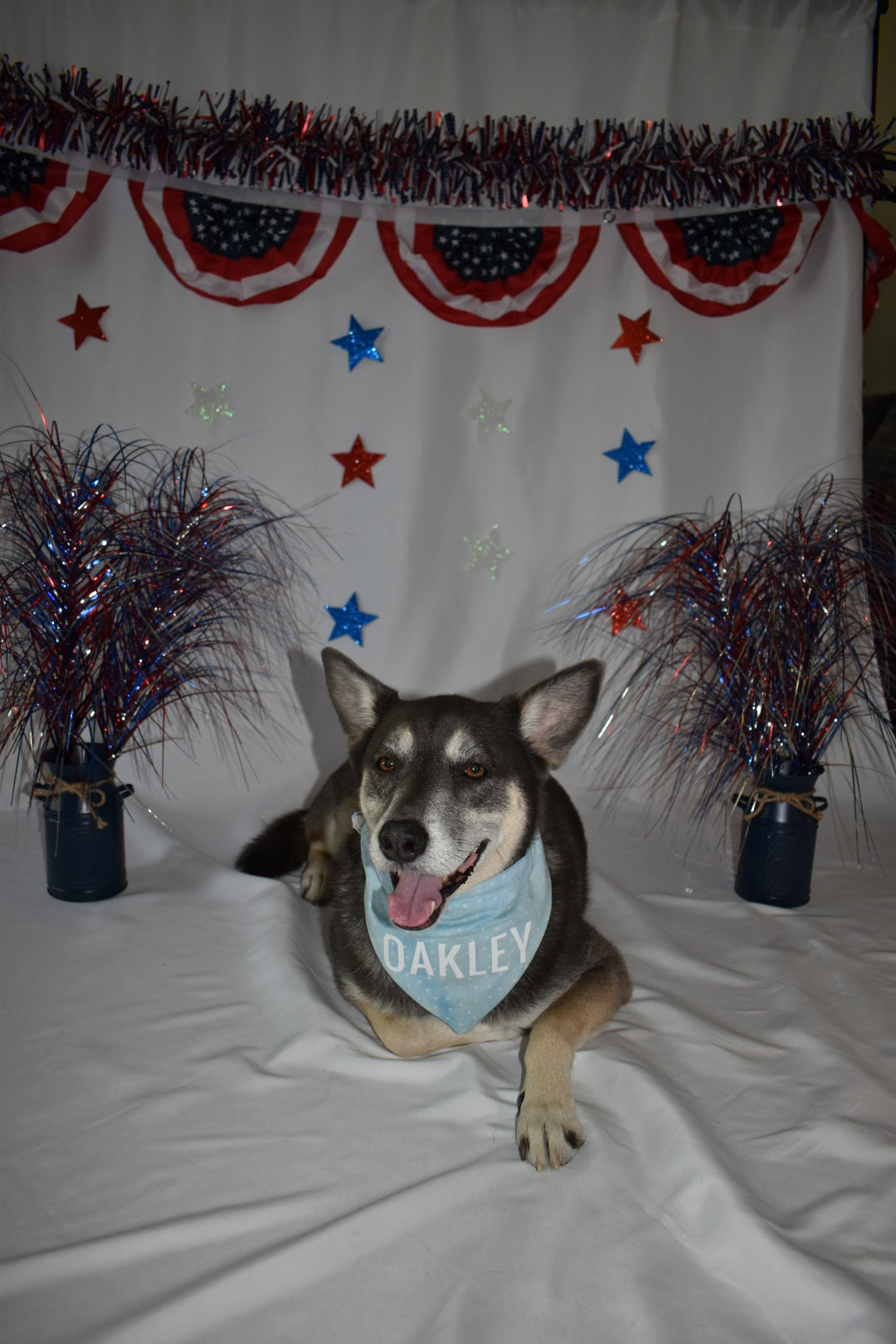 Mini Blue Stars Bandana